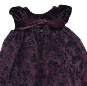 Perfectly Dressed Dress Velvet Lace Baby Girl Purple Size 18M